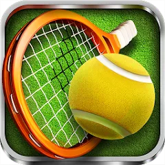 Скачать взлом 3D Tennis  [МОД Mega Pack] - стабильная версия apk на Андроид