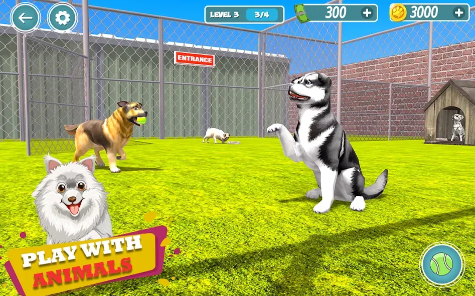 My Pet Animal Shelter World  [МОД Unlocked] Screenshot 5