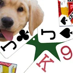 Взломанная K9 Euchre (К9 Юкер)  [МОД Все открыто] - полная версия apk на Андроид