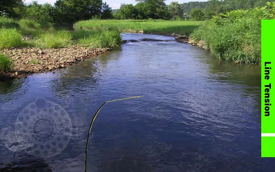 Fly Fishing Simulator (Флай Фишинг Симулятор)  [МОД Бесконечные монеты] Screenshot 4