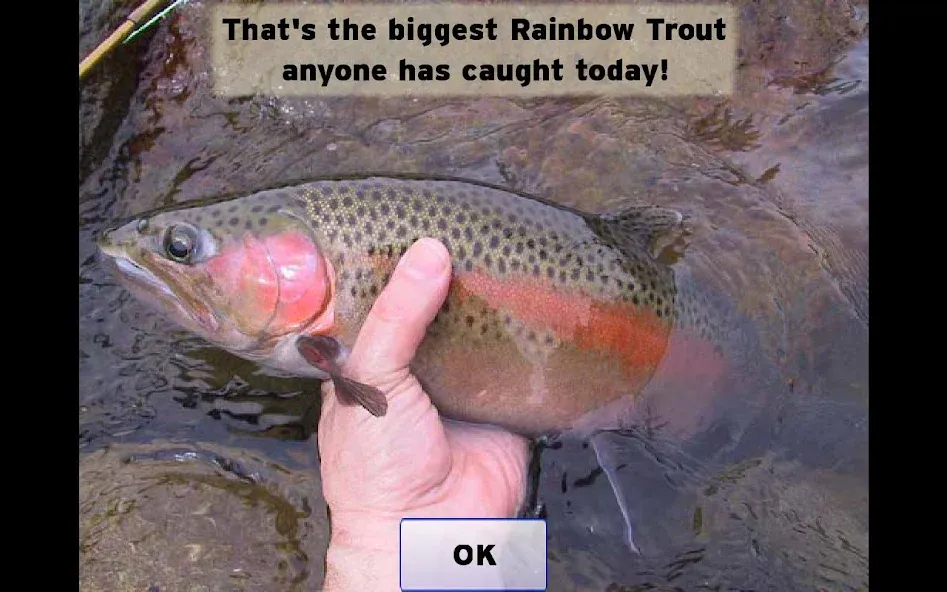 Fly Fishing Simulator (Флай Фишинг Симулятор)  [МОД Бесконечные монеты] Screenshot 5
