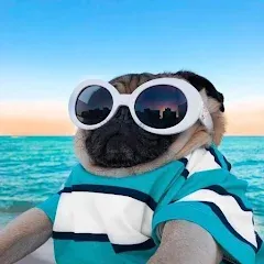 Взломанная 10000 words (десять тысяч)  [МОД Unlimited Money] - последняя версия apk на Андроид