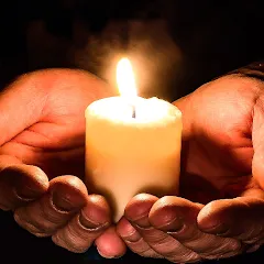 Скачать взломанную Cozy Words  [МОД Бесконечные монеты] - последняя версия apk на Андроид