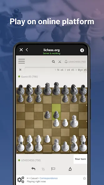 Chessnut (Честнат)  [МОД Unlocked] Screenshot 2