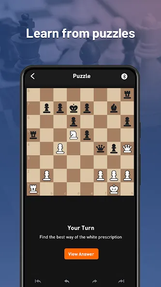 Chessnut (Честнат)  [МОД Unlocked] Screenshot 3